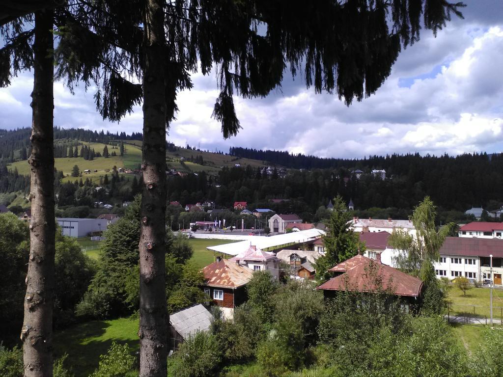 Vila Dariana Vatra Dornei Exterior photo